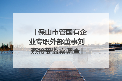 保山市管国有企业专职外部董事刘燕接受监察调查